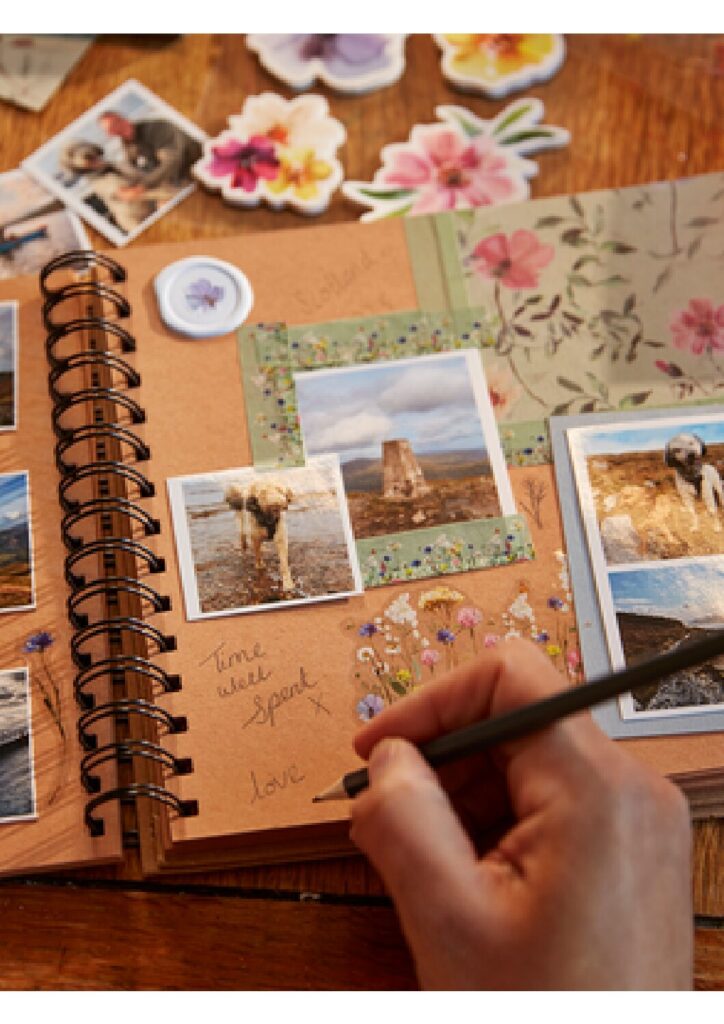 Travel Journal : Backpackers’ Adventures and Memories